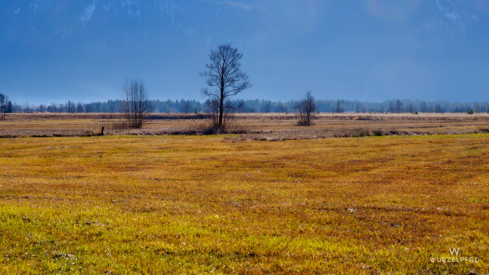 Murnauer Moos Impressionen